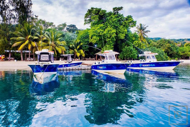 Luxury House Beach Front Private Beach, 8 bedrooms in Tahiti property for sale For Super Rich