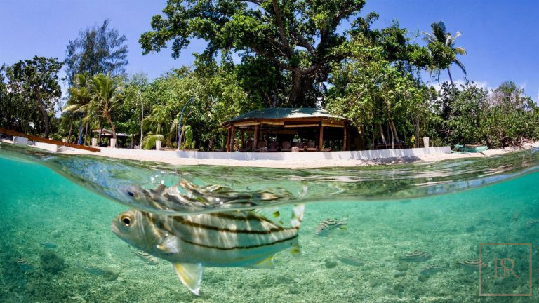 Luxury House Beach Front Private Beach, 8 bedrooms in Tahiti top for sale For Super Rich