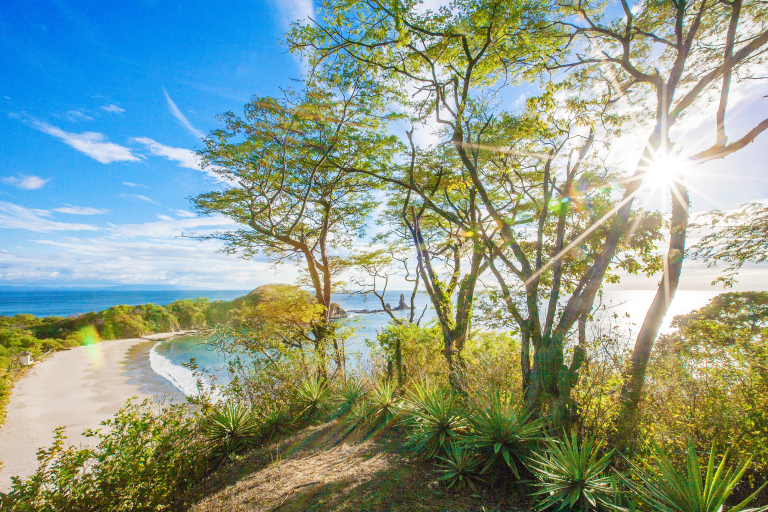Luxury Villa Beach Front, 23 bedrooms in San Juan del Sur search for sale For Super Rich