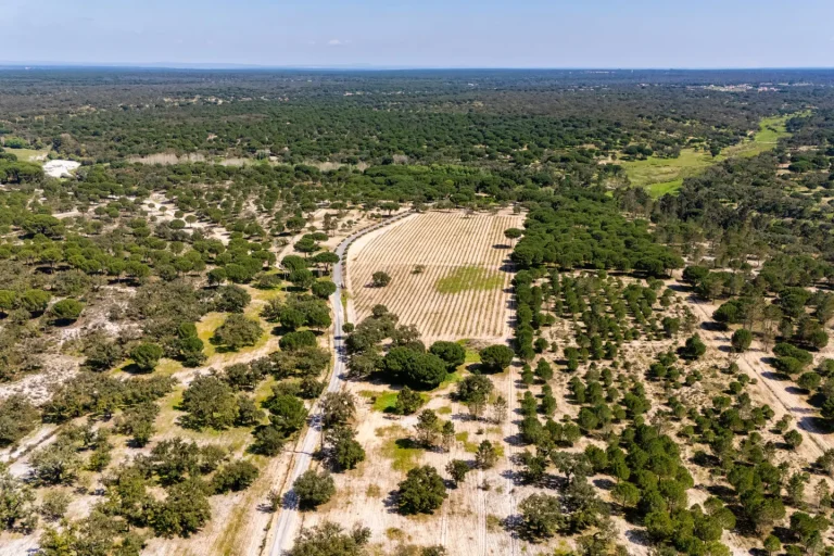 Architectural Villa Panoramic View, 7 bedrooms in Comporta best for sale For Super Rich