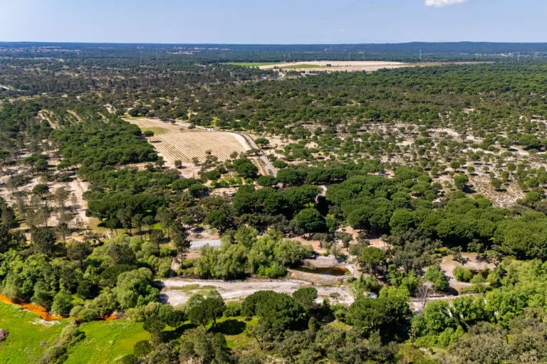Architectural Villa Panoramic View, 7 bedrooms in Comporta Classified ads for sale For Super Rich