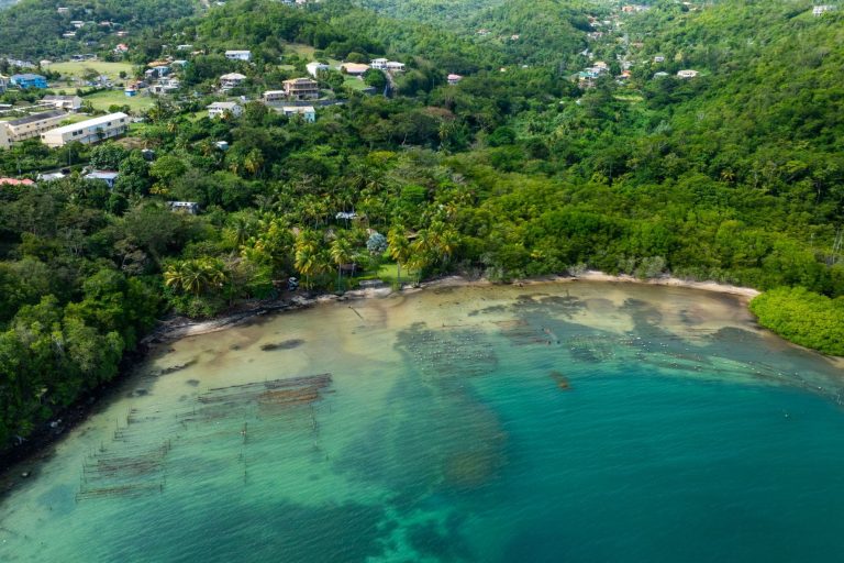 Luxury Hotel Beach Front Sea View, 7 bedrooms in St. David available for sale For Super Rich