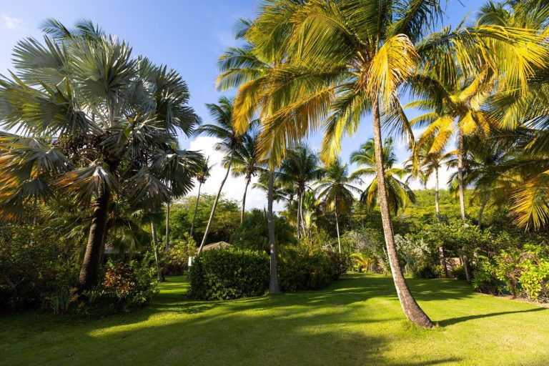 Luxury Hotel Beach Front Sea View, 7 bedrooms in St. David ads for sale For Super Rich