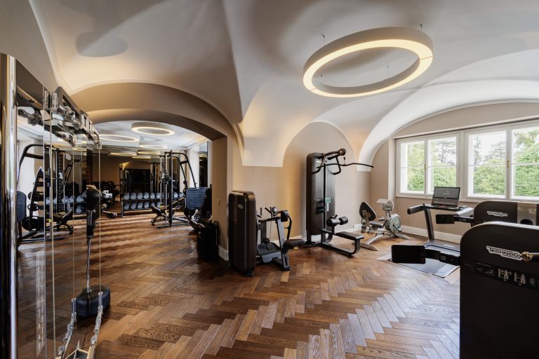 Luxury Castle Panoramic View, 21 bedrooms in Vienna property for sale For Super Rich