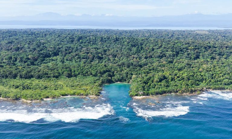 Oceanfront Wilderness Land/Plots Beach Front Sea View, ---- bedrooms in Bluff–Drago, Isla Colón, Bocas del Toro HZ0316 for sale For Super Rich