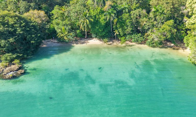 Oceanfront Wilderness Land/Plots Beach Front Sea View, ---- bedrooms in Bluff–Drago, Isla Colón, Bocas del Toro buy for sale For Super Rich
