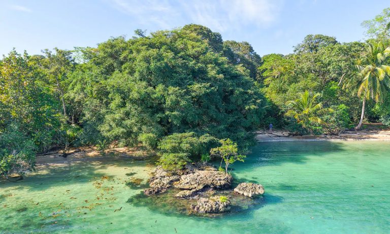 Oceanfront Wilderness Land/Plots Beach Front Sea View, ---- bedrooms in Bluff–Drago, Isla Colón, Bocas del Toro price for sale For Super Rich