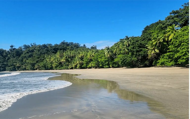Pacific Island Wilderness Estate Land/Plots Beach Front Panoramic View, 0 bedrooms in Isla Parida, San Lorenzo, Chiriquí best for sale For Super Rich
