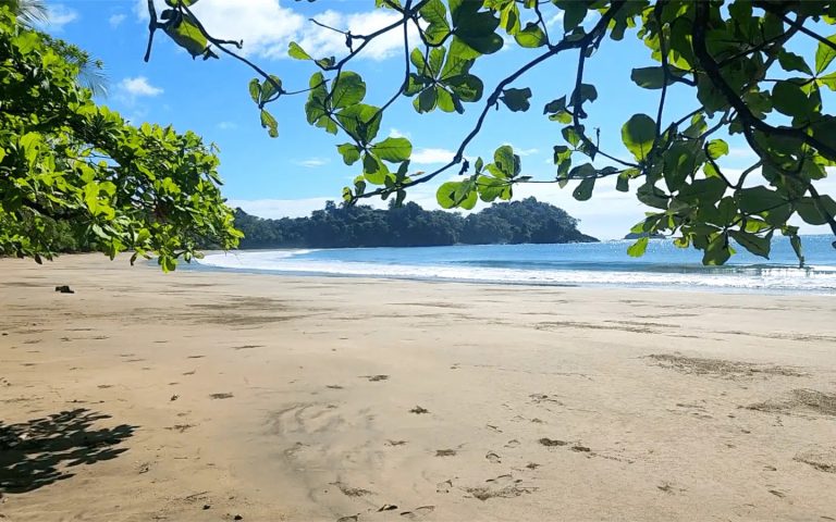 Pacific Island Wilderness Estate Land/Plots Beach Front Panoramic View, 0 bedrooms in Isla Parida, San Lorenzo, Chiriquí price for sale For Super Rich