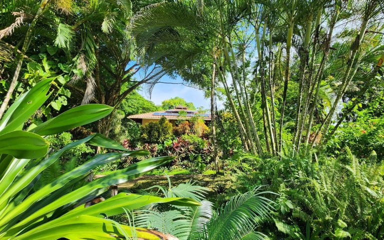 Colonial Tropical Retreat Hotel Beach Front Sea View, 10 bedrooms in Bluff Beach, Isla Colón, Bocas del Toro property for sale For Super Rich